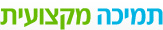 תמיכה מקצועית